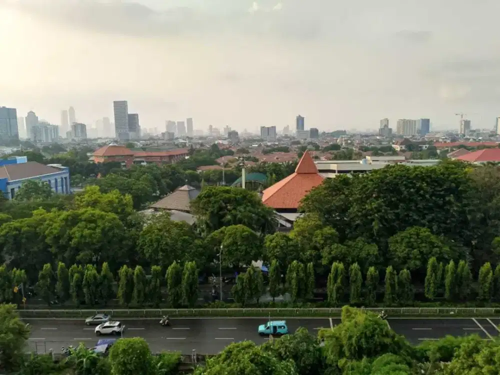 Apartemen Kalibata City Green palace Studio Tulip