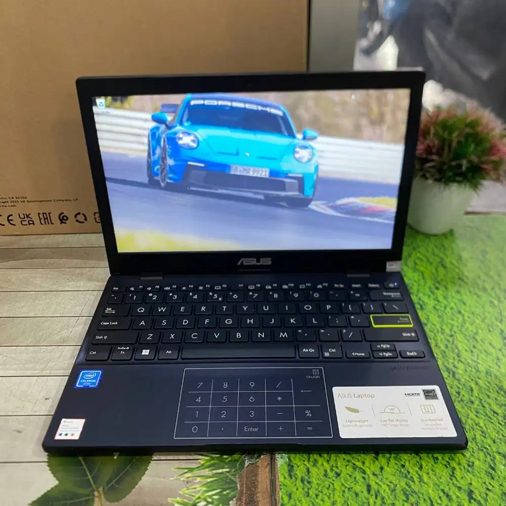 Asus Vivobook E210MA Celeron N4020 RAM 8GB SSD 512GB 11,6HD Win 11