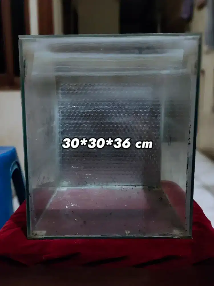 Aquarium single progres