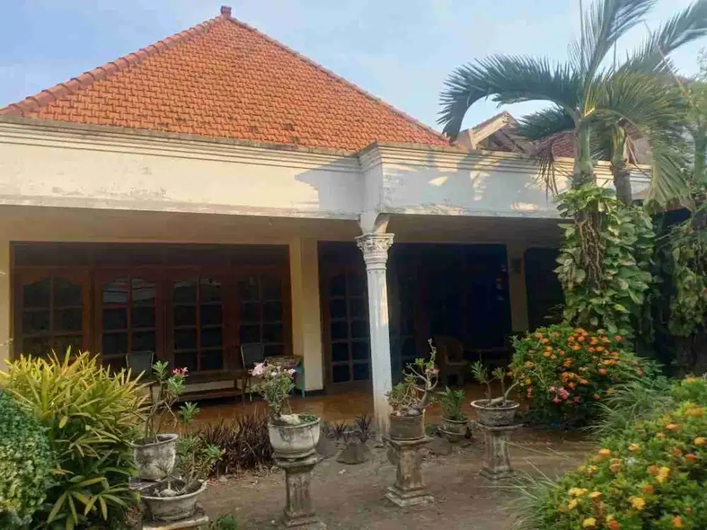 DIJUAL RUMAH SURABAYA PUSAT KOMERSIAL AREA RAYA KUTAI, JUAL MURAH DAN CEPAT
