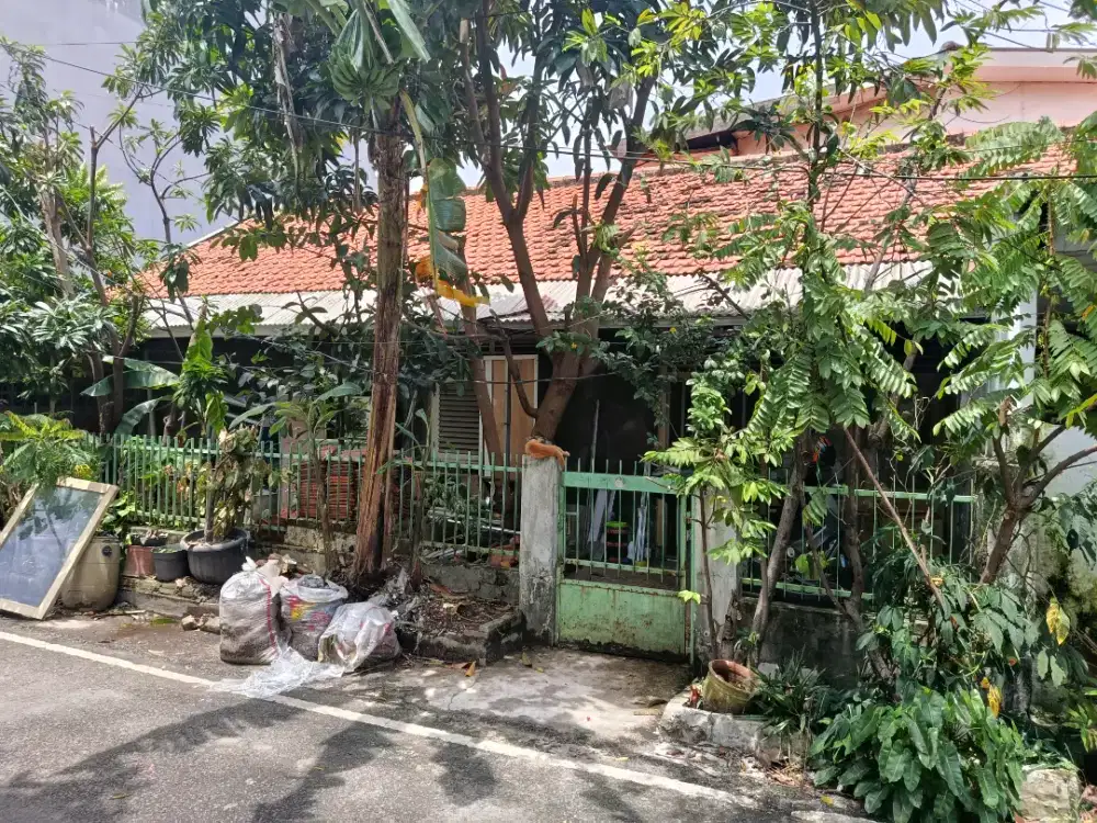Rumah tua Rawamangun dekat SMAN 36