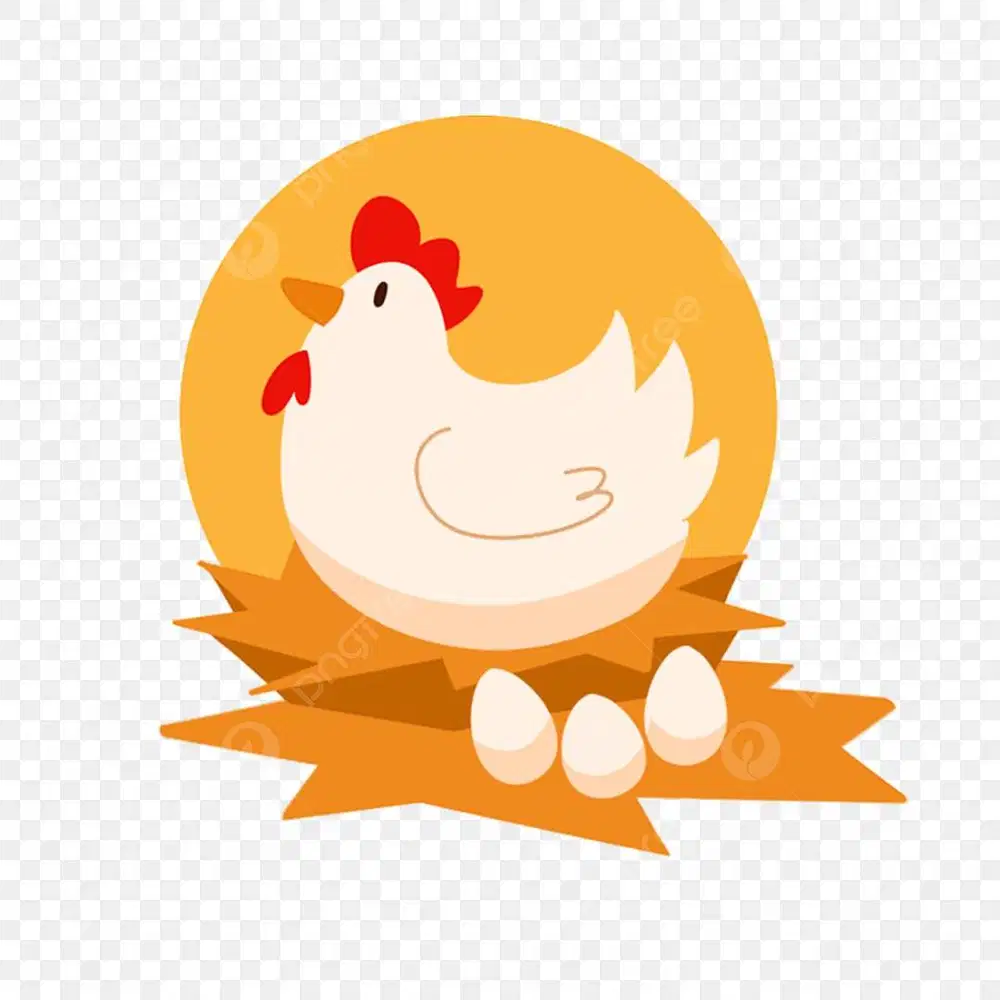 Supervisor Ternak Ayam Petelur