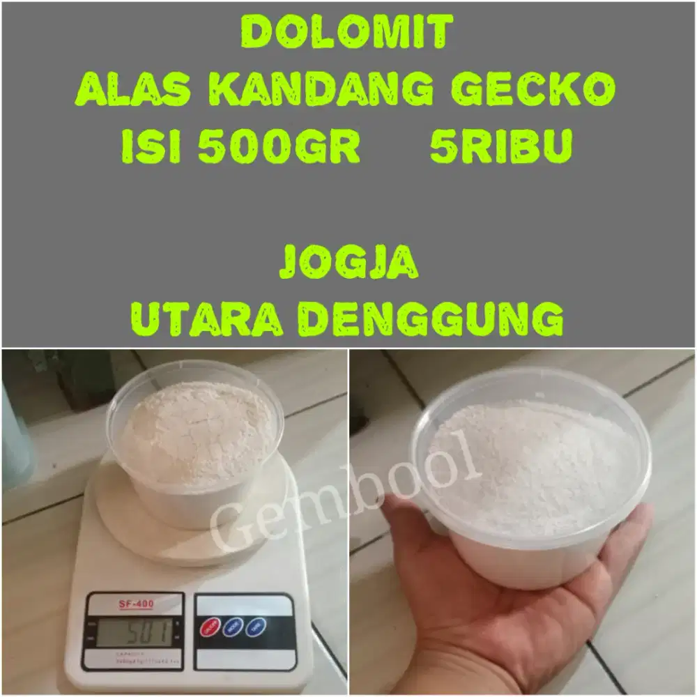 Perlengkapan geckonya