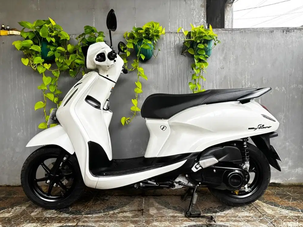 Yamaha Filano Neo TH 2025 Gress Muluss