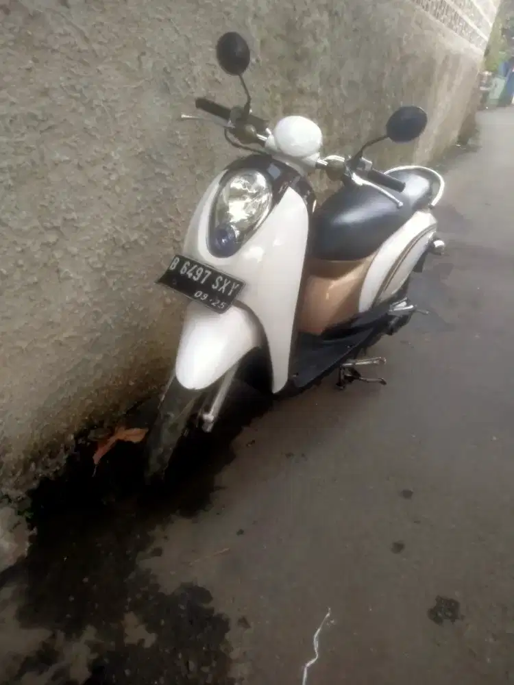 Honda skkupi mulus