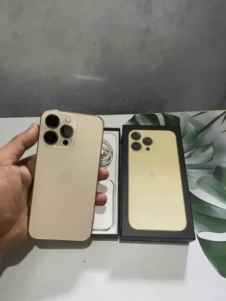 IPHONE 13 PRO 256 INTER