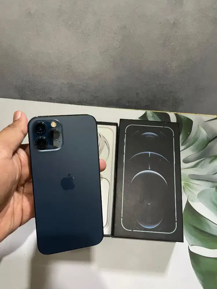 IPHONE 12 PRO 256 INTER