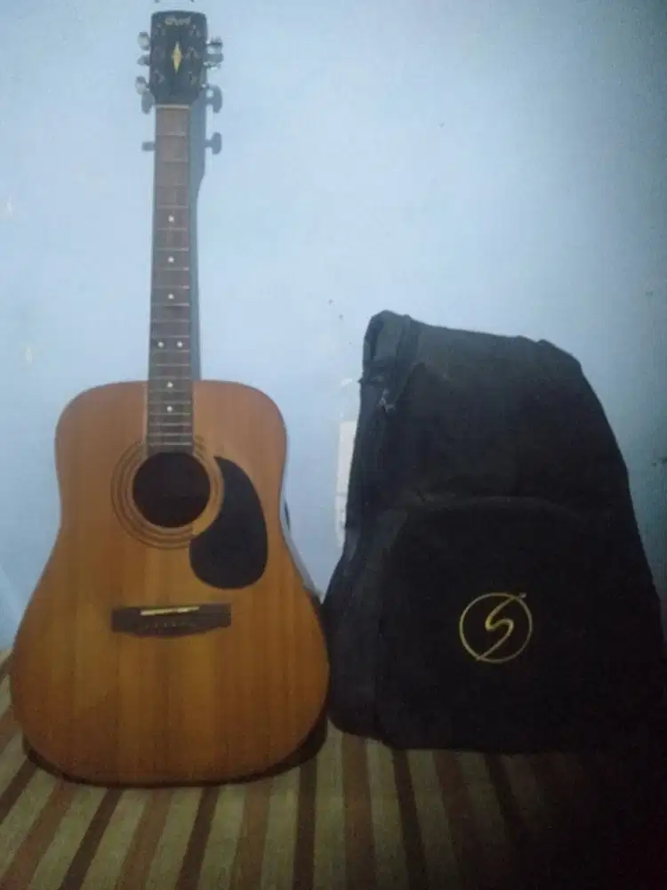 Gita acoustik elektrik cort AD810 NS
