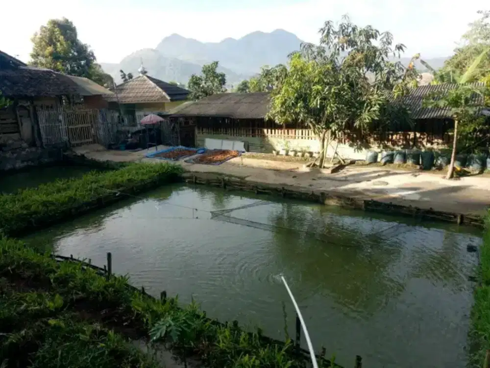 Kolam dan Tanah Darat