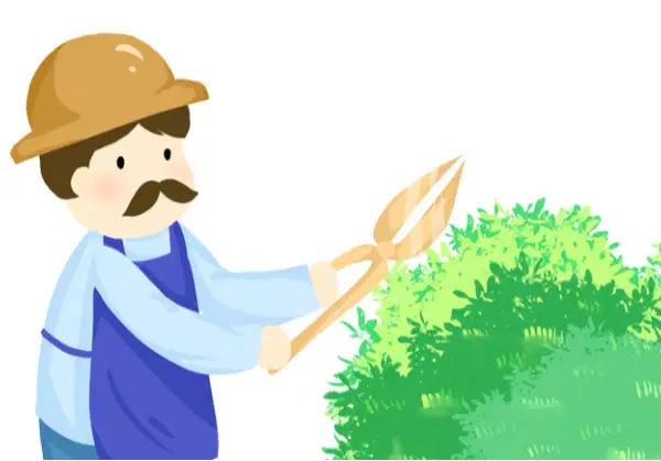 Gardener (Tukang Kebun)