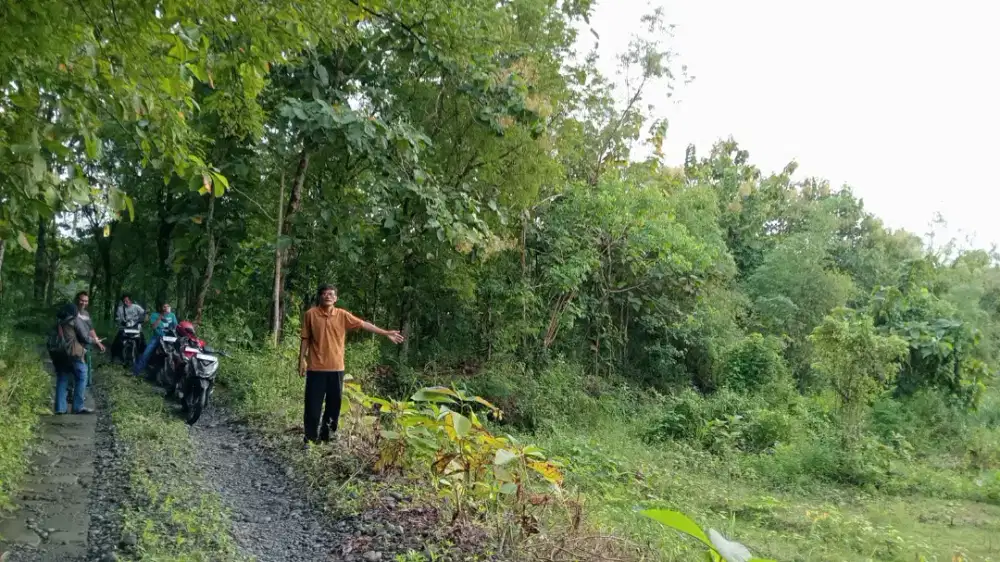 Jual tanah di Sentolo Kp