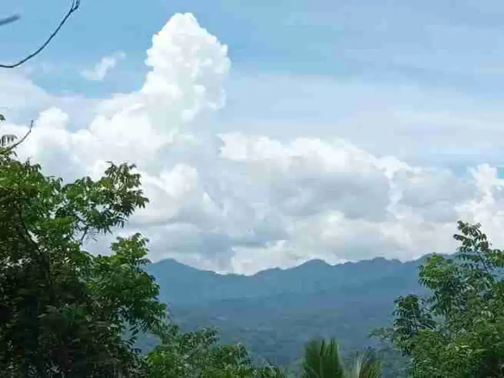 Jual Cepat tanah SHM di Samigaluh Kulon Progo dekat area Wisata