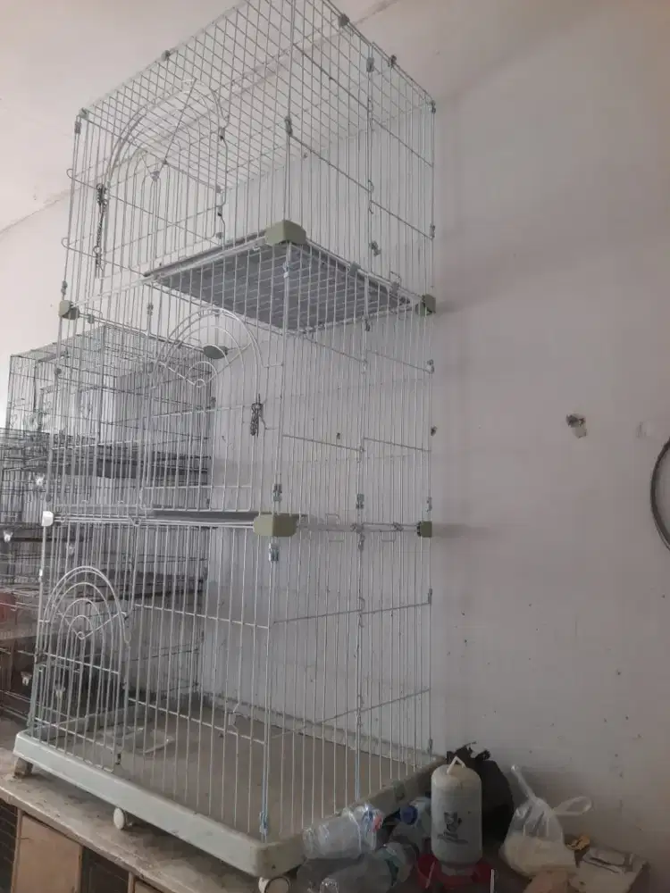 Kandang kucing tiga susun