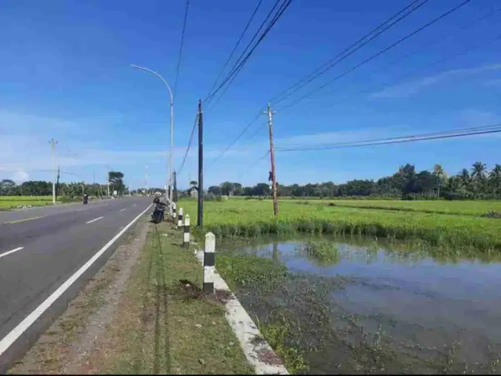 Jual Cepat Tanah SHMS di Pengasih Kulon Progo 20 menit ke YIA