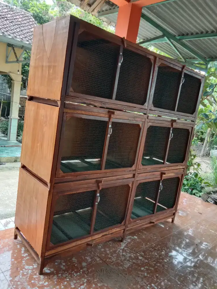 Kandang ayam  doq doc