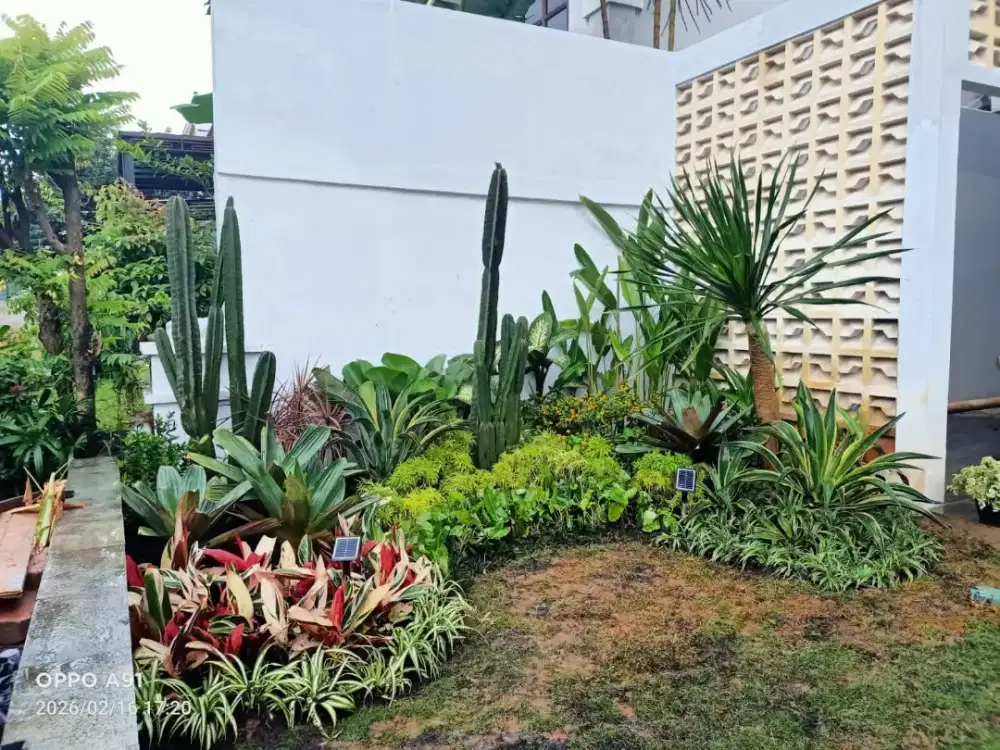 Awien taman panggilan