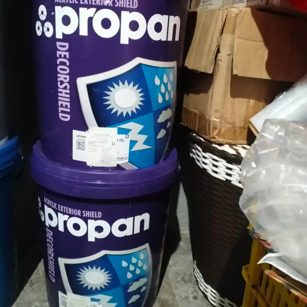 Cat Tembok Propan Decorshield