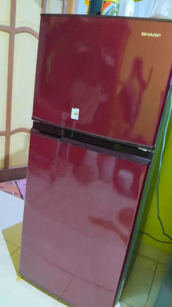 Kulkas Sharp 2 pintu
