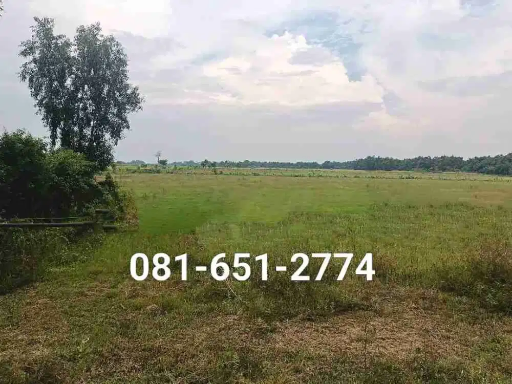 Tanah Industri Nganjuk Gondang