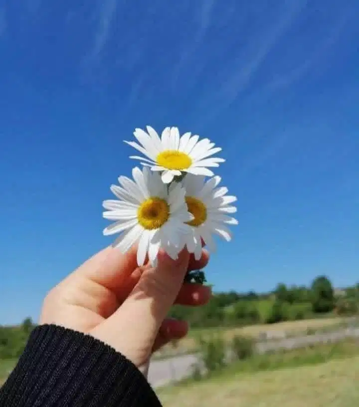 Mencari kerja infal lebaran