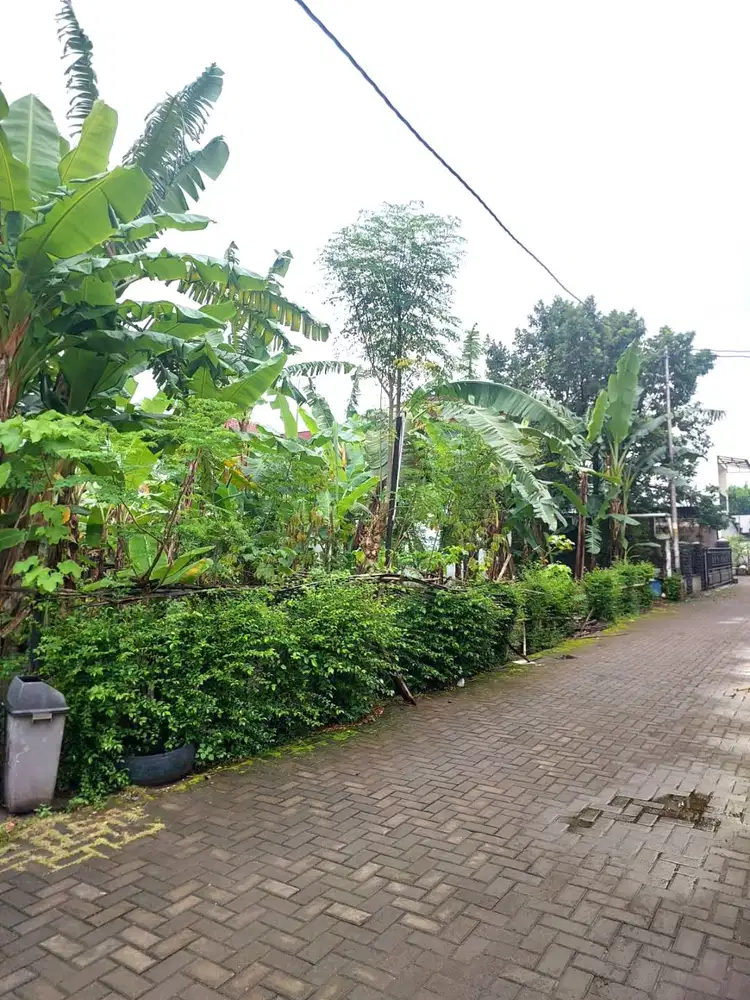 Tanah Pekarangan Strategis di Plemburan dekat jalan Kaliurang