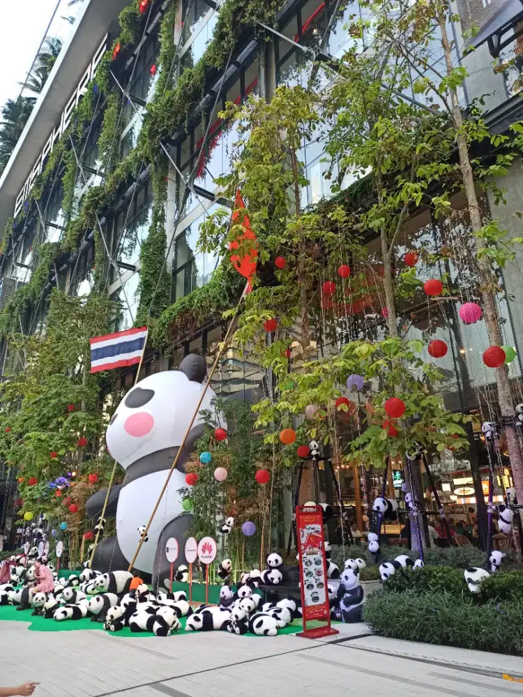 Dicari crew dekor sangjit, ultah