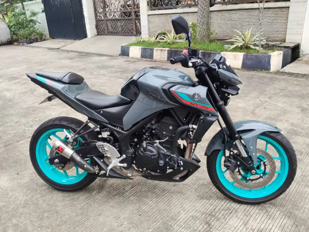 DiJuAL Yamaha MT25 2024 ALien
