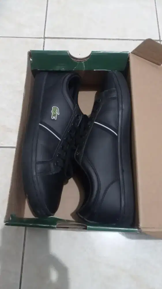 For sale Lacoste black edition