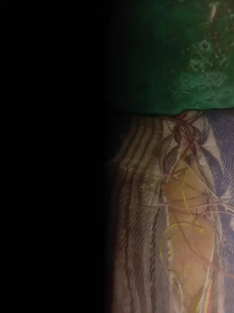 trafo las listrik 450 wat merk reaim