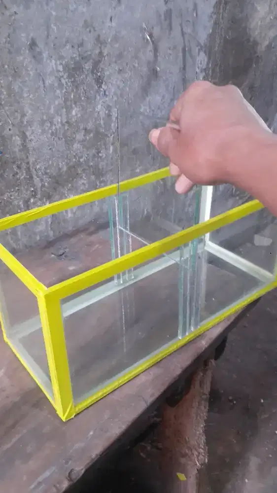 Aquarium ikan hias  / ikan cupang