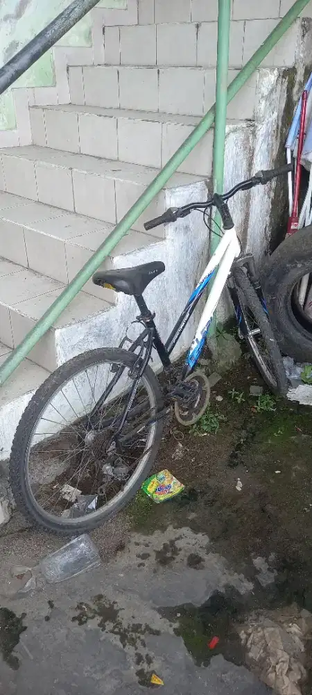 Sepeda Polygon Berkualitas Terawat