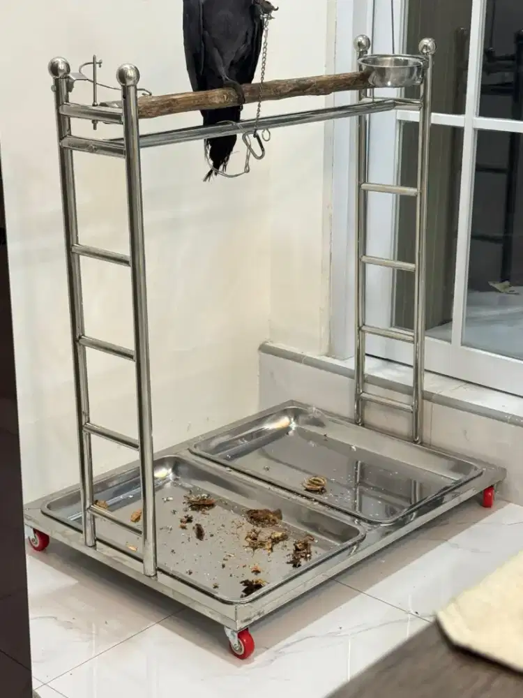 (COD) Tangkringan Stainless Steel Super Jumbo