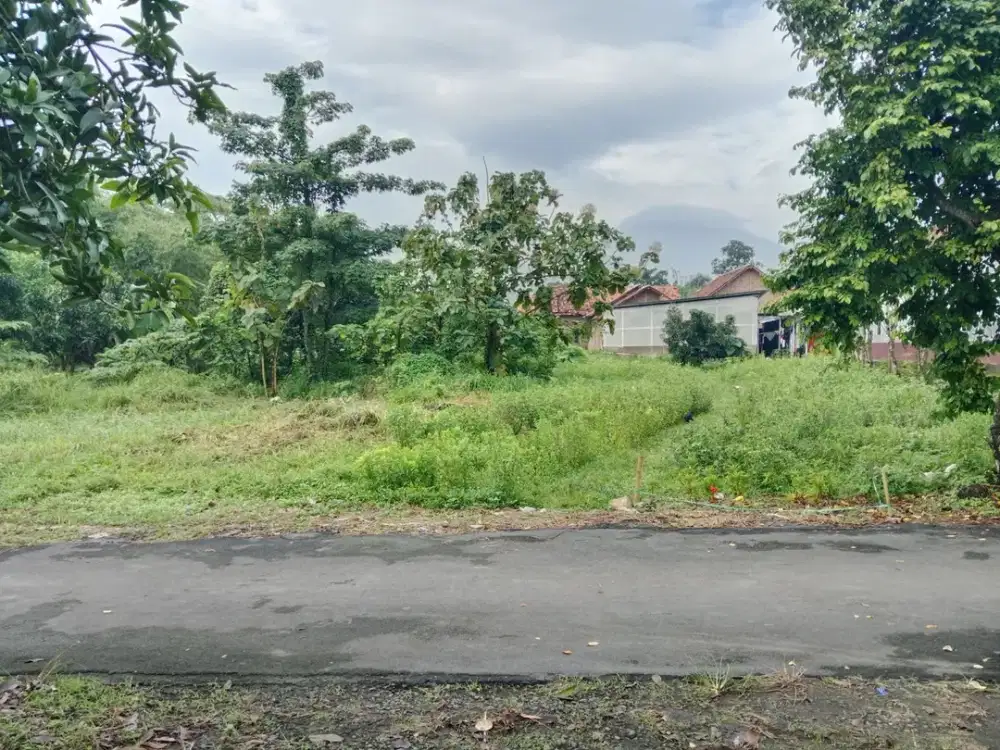 Tanah Darat Padat Luas Harga Murah