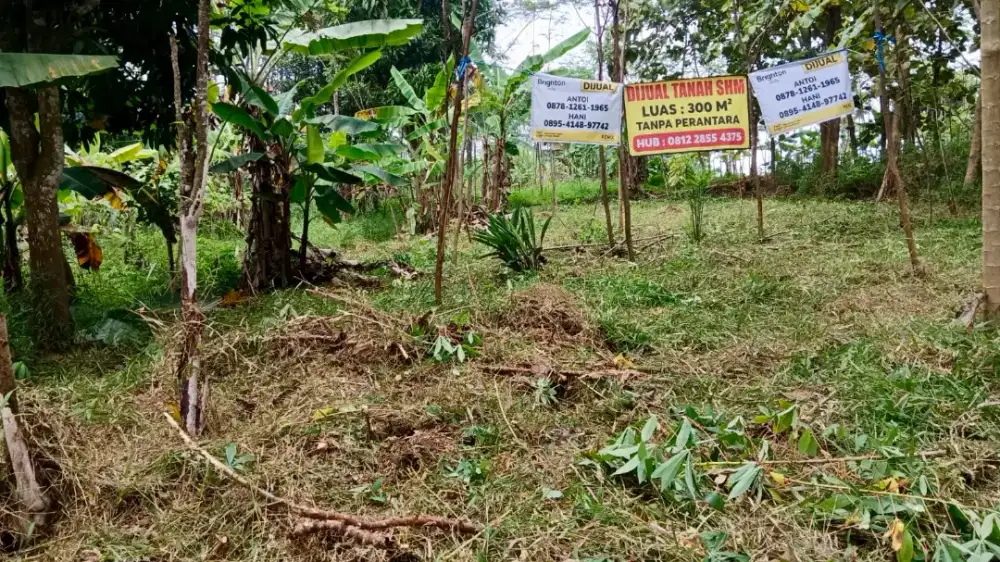 DIJUAL TANAH DEKAT BSB SEMARANG