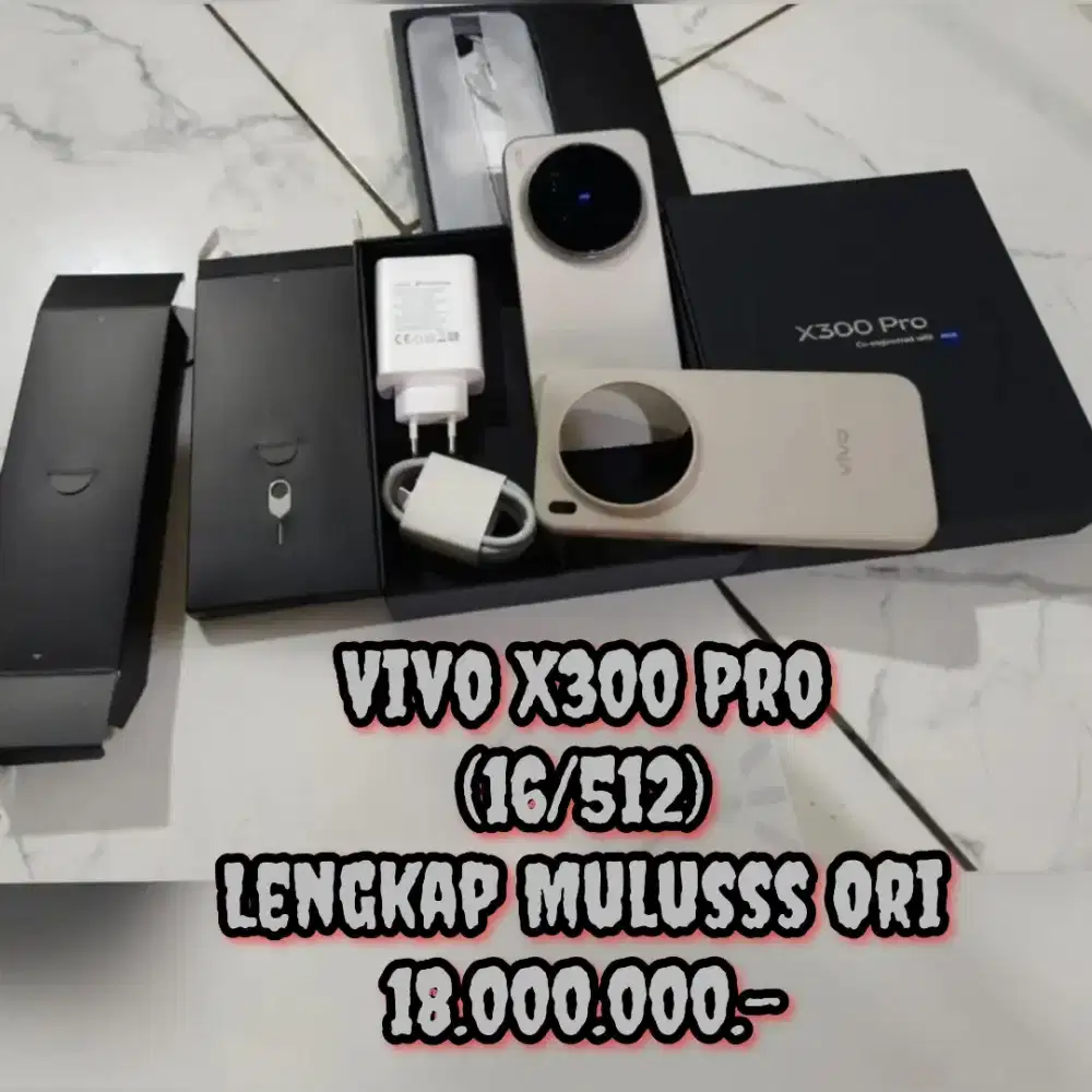 Vivo X300 Pro (16/512)