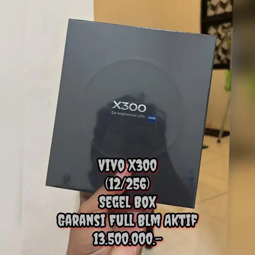Vivo X300 (12/256) Segel Box