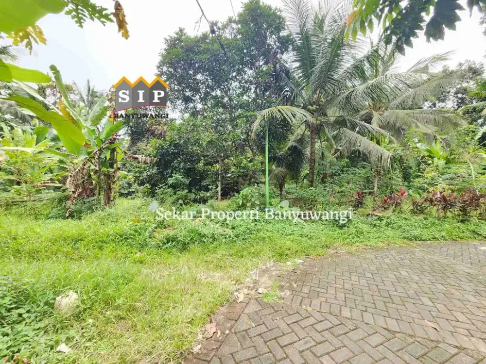 Dijual Tanah Siap Bangun di Glagah Banyuwangi