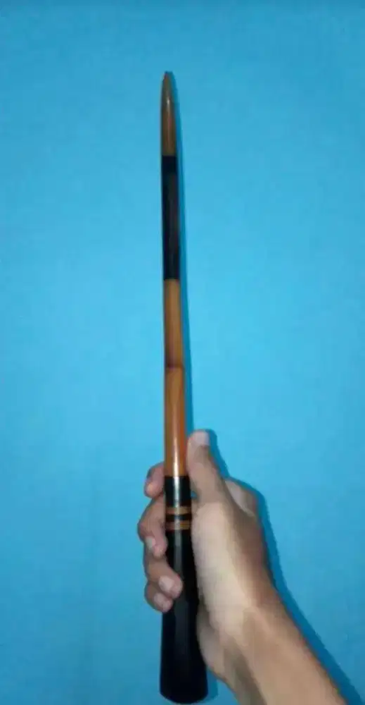 Tongkat komando fosil kayu