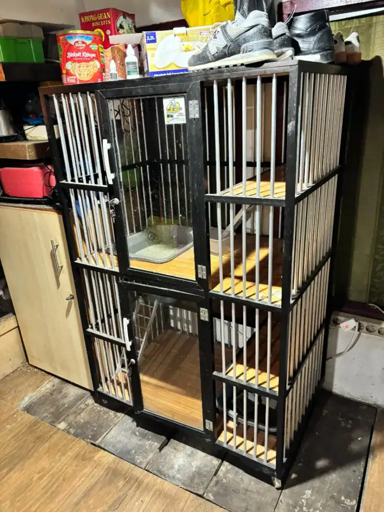 Kandang kucing anggora