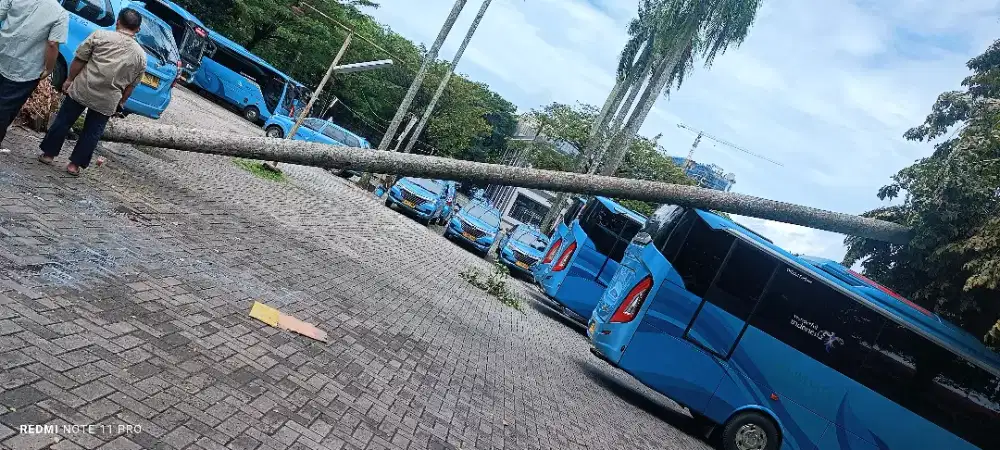 Driver Multifungsional