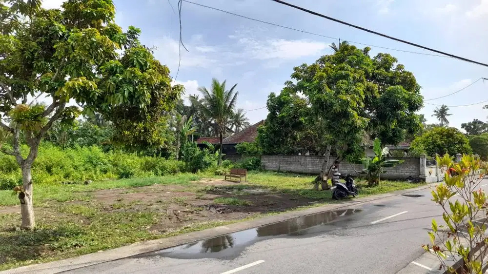 TANAH DIJUAL, LUAS 3553M² DI TEGALDLIMO, BANYUWANGI