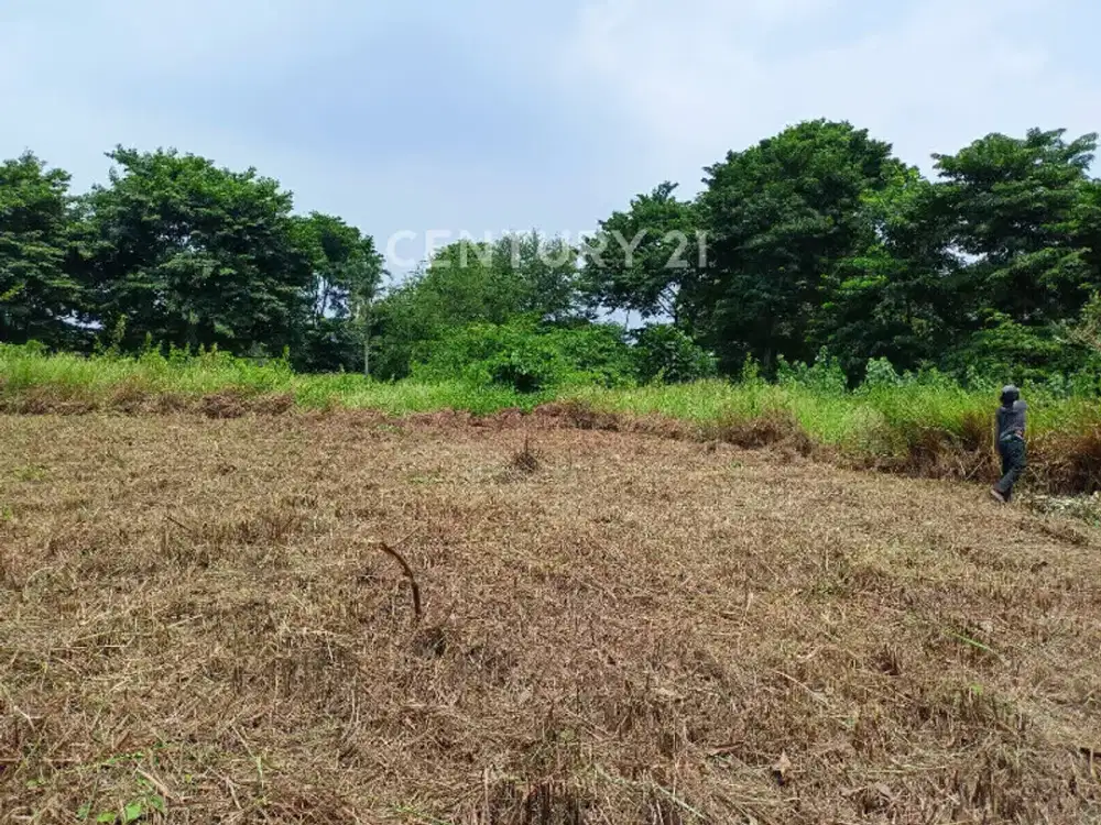 Dijual Kavling Di Simpruk Lippo Cikarang