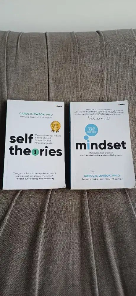Paket Buku Mindset & Self-Theories - Carol S. Dweck (Original)