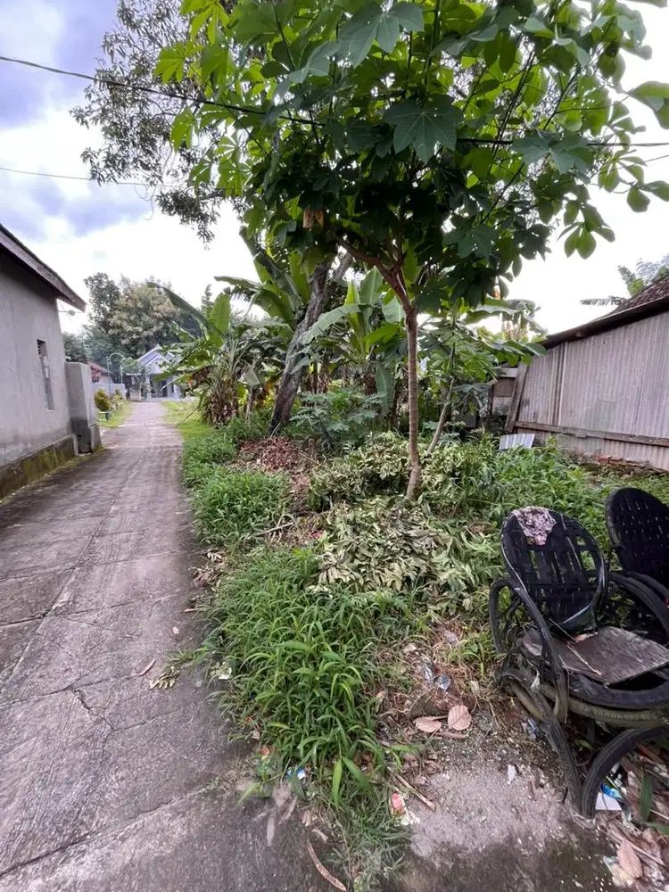 JUAL TANAH PEKARANGAN