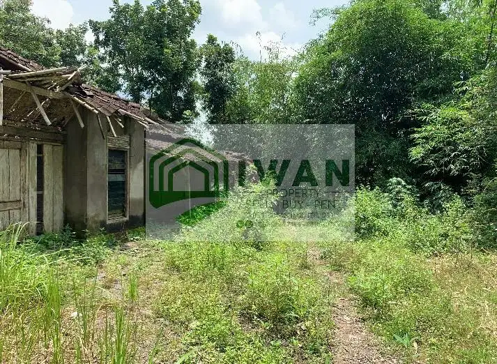 Tanah Pekarangan Luas & Murah Bonus Bangunan Hadap Jalan Aspal