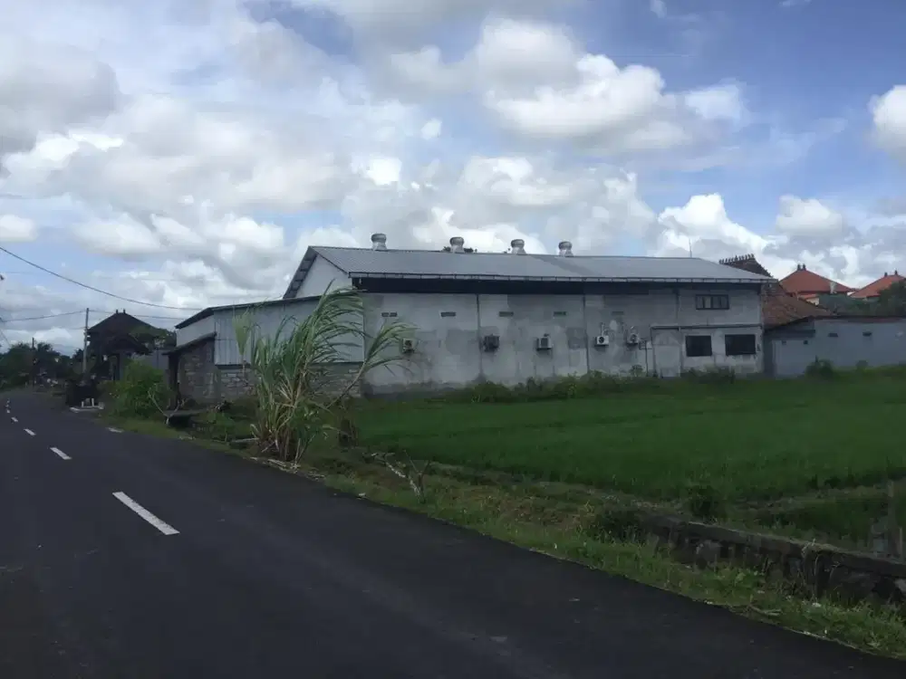 Disewakan Gudang Lokasi Strategis di Mengwitani, Badung – LT 1000m²,Bebas Banjir