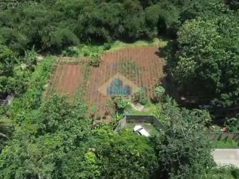 Dijual Tanah Murah Zona Komersial di Dangdang Cisauk Tangerang