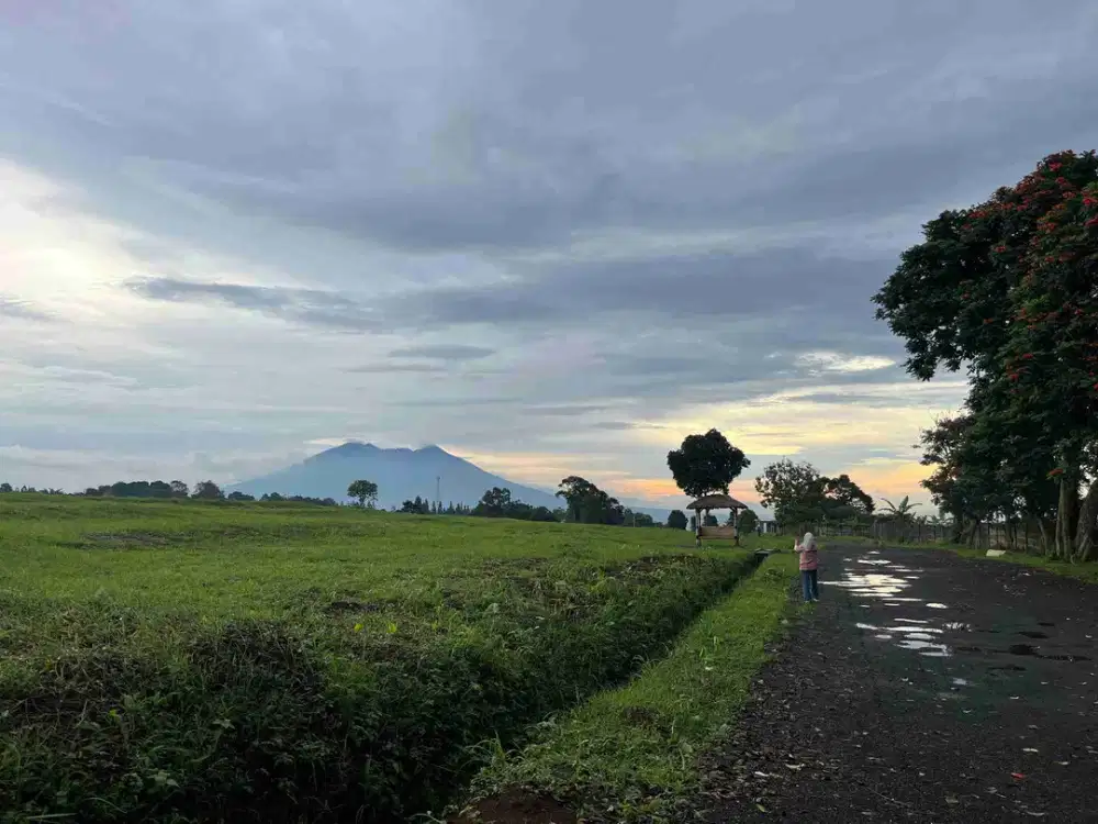 Tanah Puncak Luas 500m² Siap Bangun Legalitas Aman