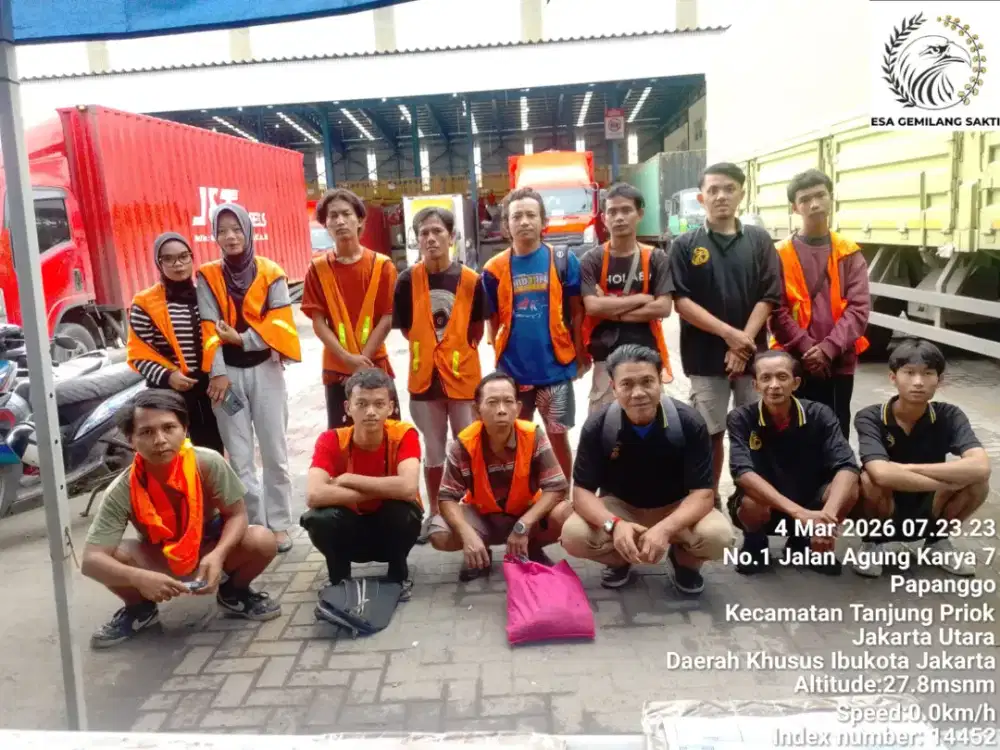 DIBUTUHKAN FREELANCE