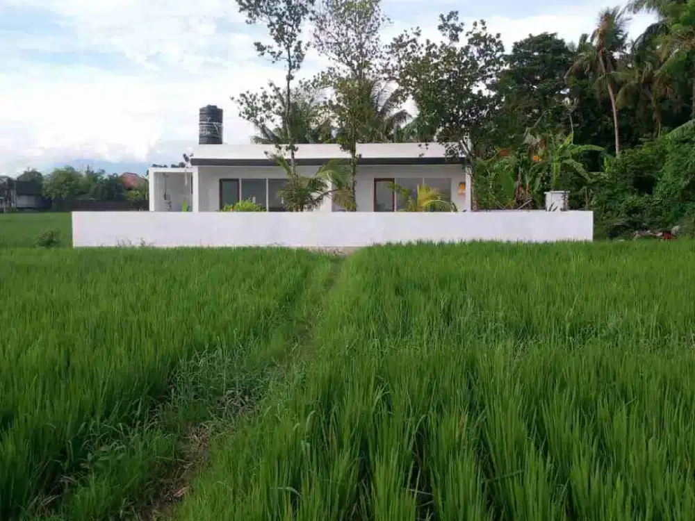 DISEWAKAN VILLA VIEW SAWAH DEKAT PANTAI KEDUNGU BG